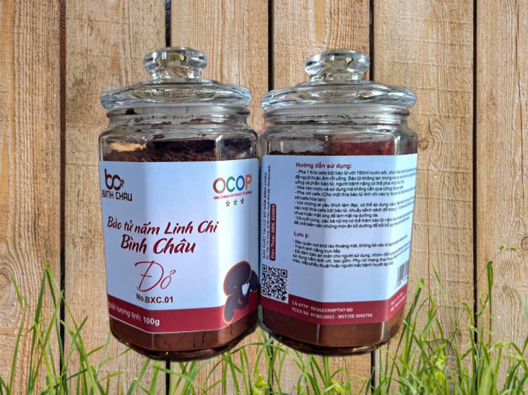 Bào tử nấm linh chi đỏ Bình Châu đóng lọ