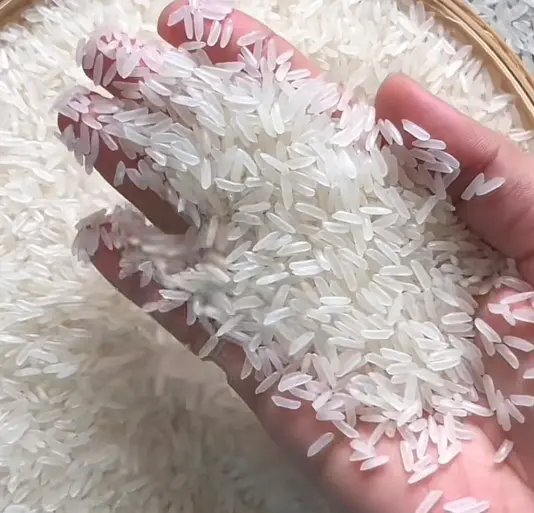 Gạo Jasmine Hữu Cơ