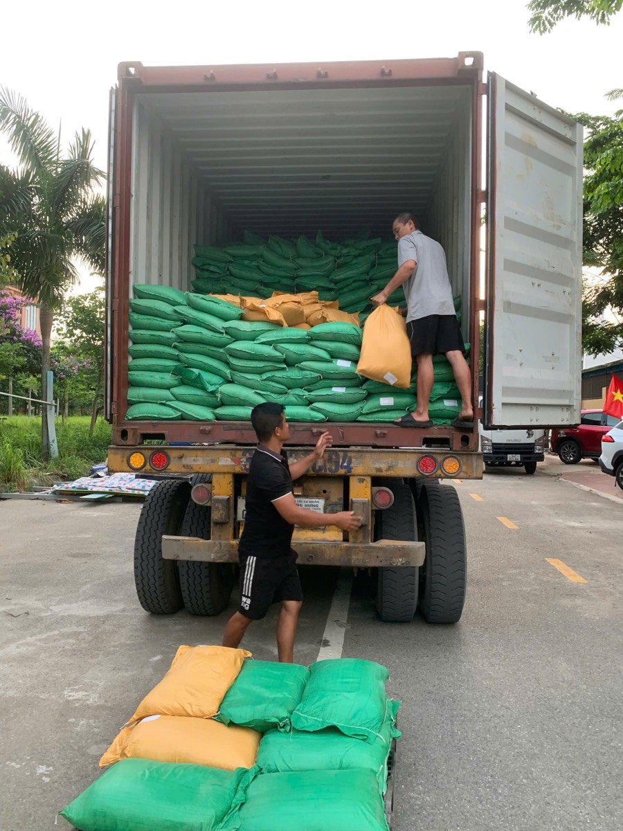 Đóng hàng lên container