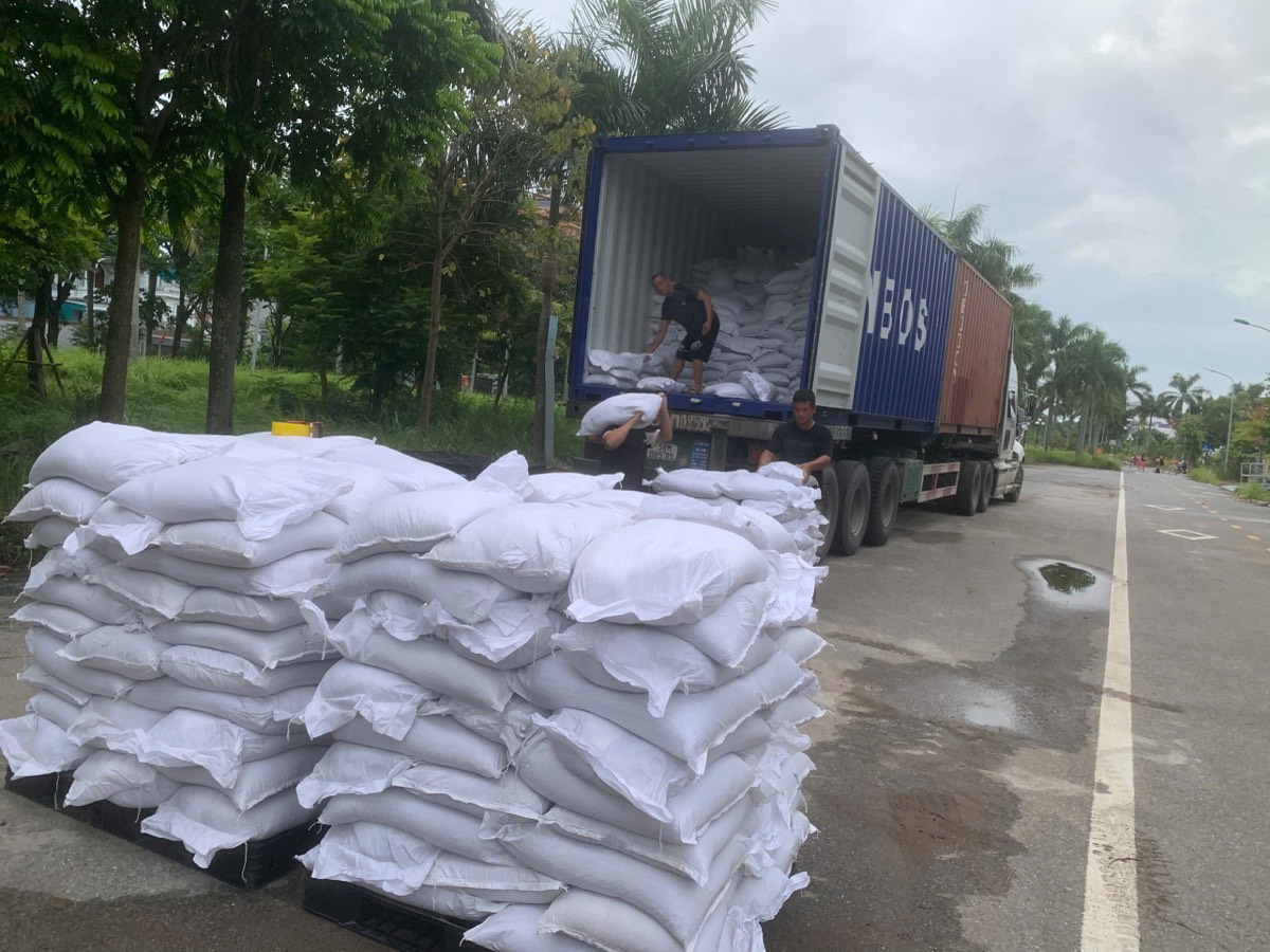 Nhập – xuất nguyên container