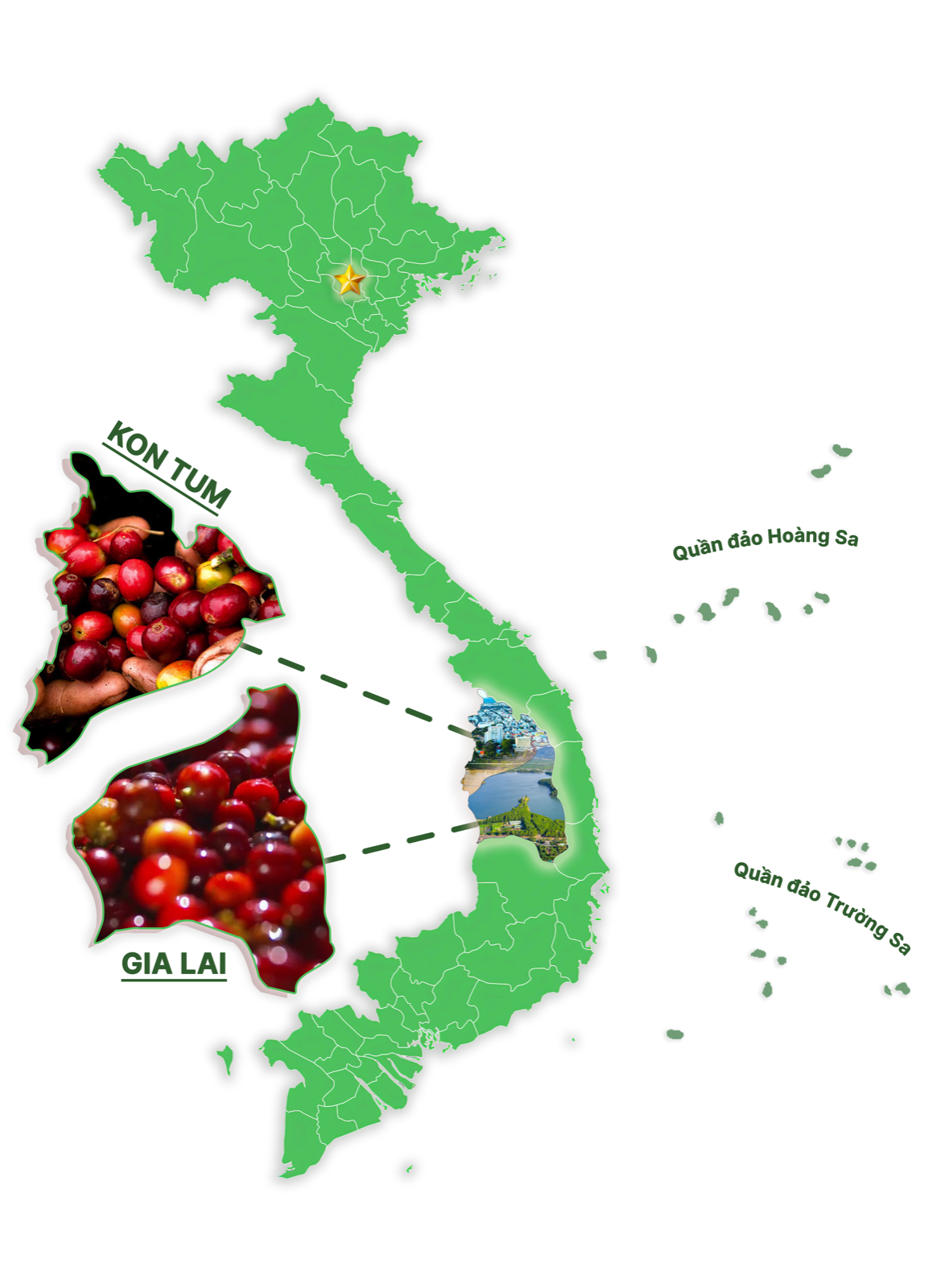 Bản đồ vùng nguyên liệu Tropico